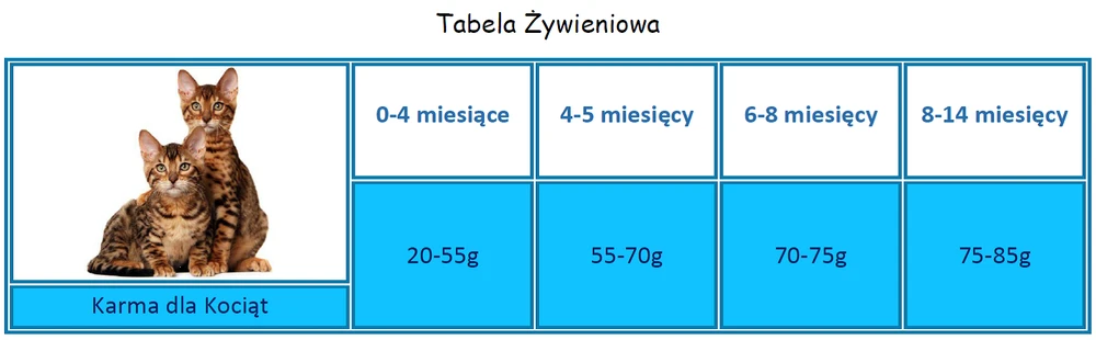 Applaws Kitten Poulet Nourriture Sèche Pour Chatons 2kg – Image 2
