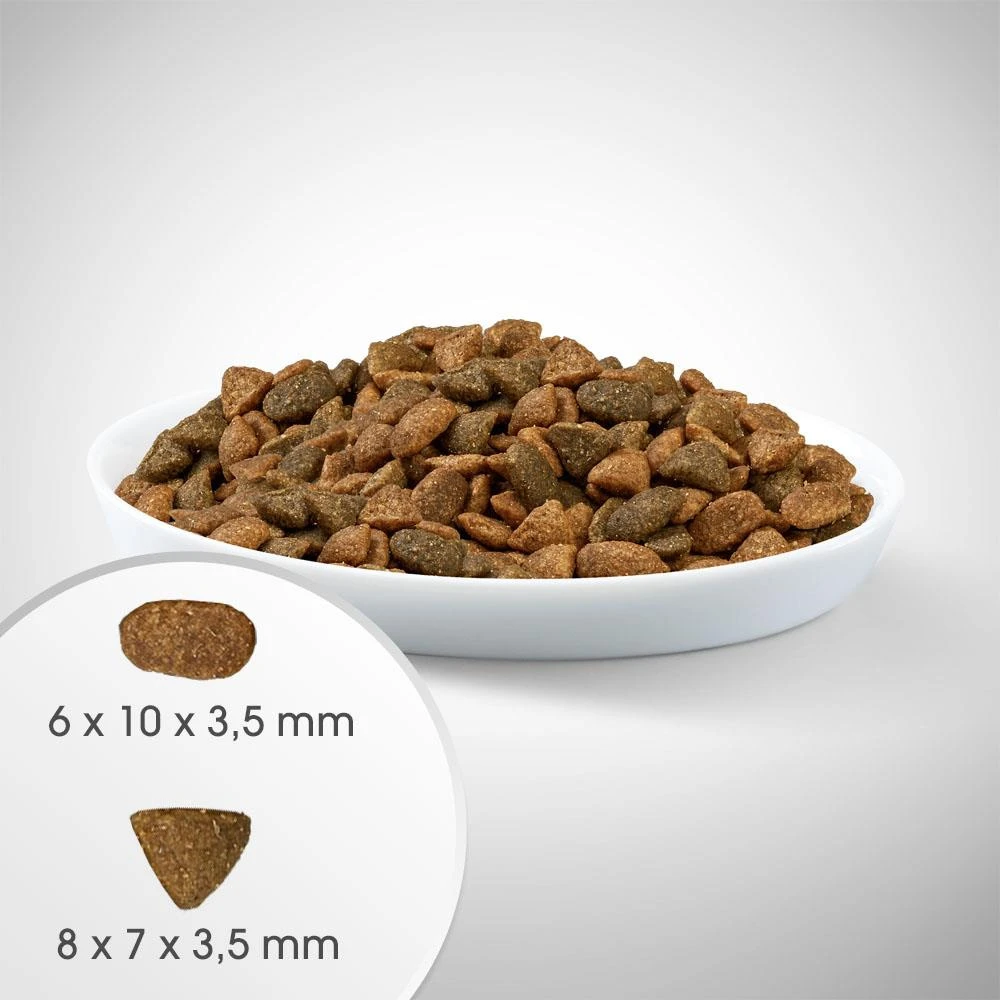 Perfect Fit™ - Aliment Complet Sec Pour Chatons De Moins De 1 An, Riche En Poulet 7kg. – Image 4