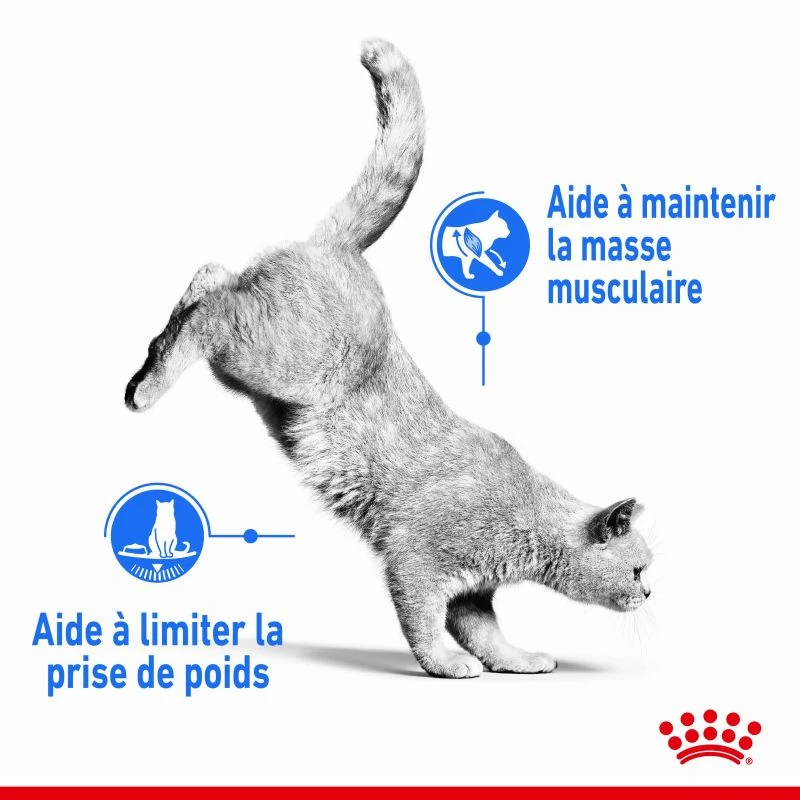 ROYAL CANIN Light Weight Care 3kg – Image 5