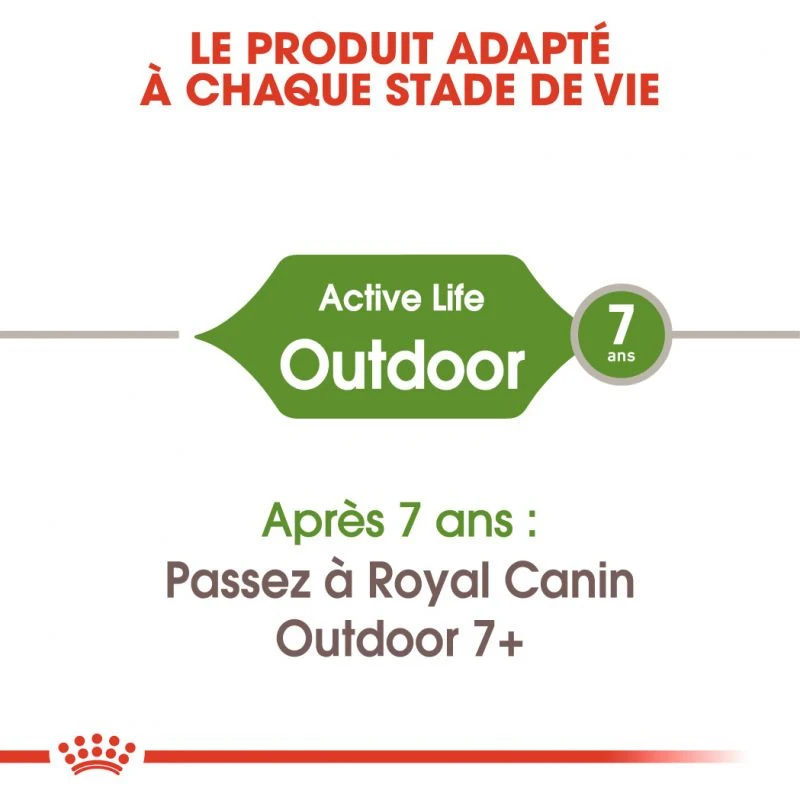 ROYAL CANIN Outdoor 4kg – Image 2