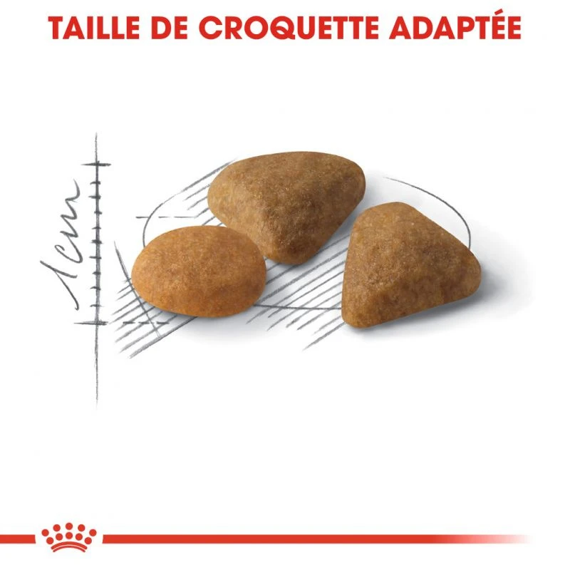 ROYAL CANIN Savour Exigent 4kg X2 – Image 6