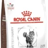 ROYAL CANIN Skin Hairball Gastrointestinal 2kg