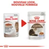 Royal Canin Ageing +12 12x85g