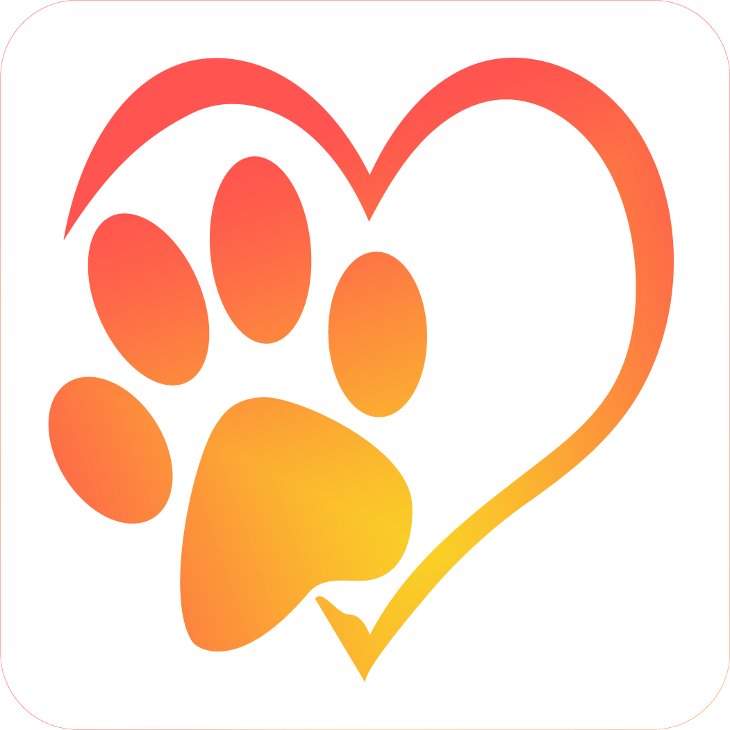 Promos Ami Bestial Magasin